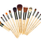 Makeup Brushes